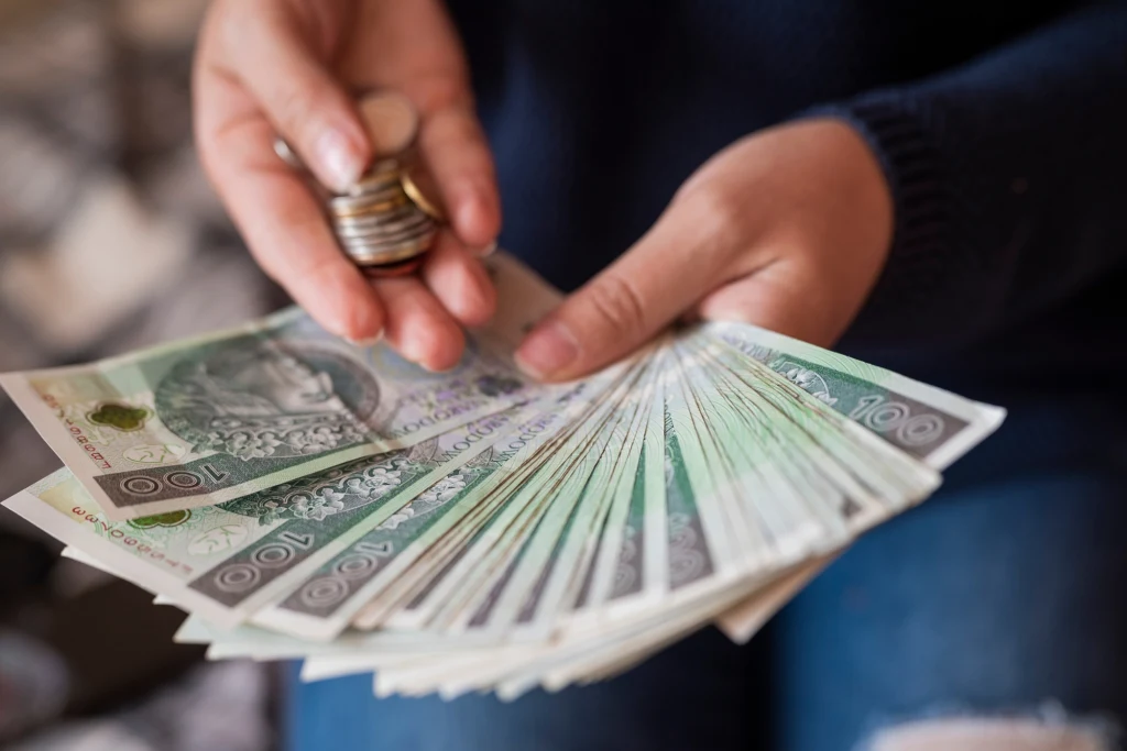 ZUS prowadzi ewidencję wszystkich składek przekazywanych przez pracodawców i osoby prowadzące działalność gospodarczą.