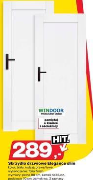 Дверне полотно Windoor