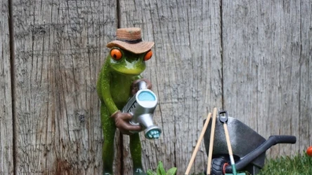 Wybierając ogrodniczy sklep internetowy, warto zwrócić uwagę na ofertę dostosowaną do pór roku