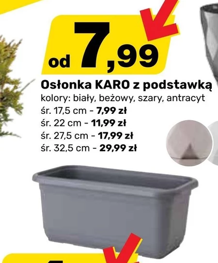 Osłonka Karo