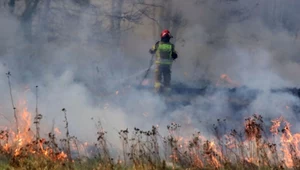 Tragedia w Małopolsce. Ciało seniora znaleziono na łąkach