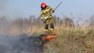 Tysiące pożarów, 3 osoby ranne. Wiosenny zwyczaj zbiera tragiczne żniwo