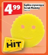 Gąbka czyszcząca Hit