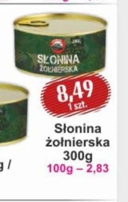 Słonina