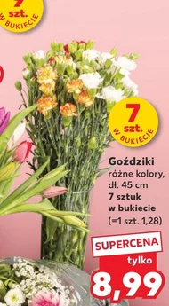 Goździki