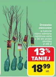 Drzewko owocowe