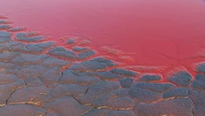 Coś dziwnego dzieje się w Iranie. Plaża spłynęła czerwienią