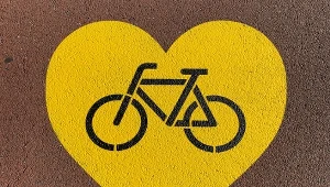 Wybór roweru zależy od indywidualnych potrzeb i stylu jazdy