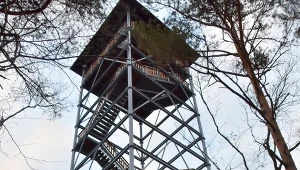 Mało znana wieża widokowa w Małopolsce. Z parkingu dojdziesz do niej w 30 minut 