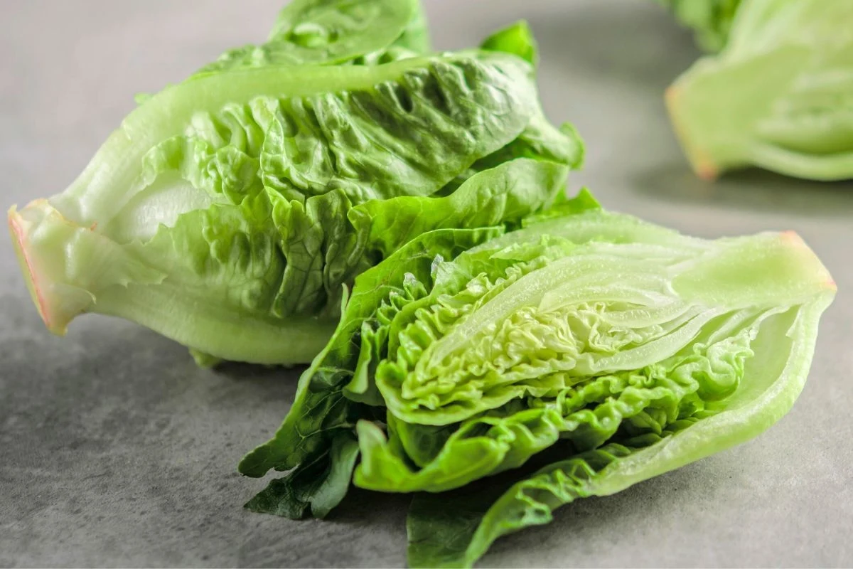 Sałata rzymska zawiera dużo witamin i cennych pierwiastków, dlatego warto włączyć ją do codziennej diety