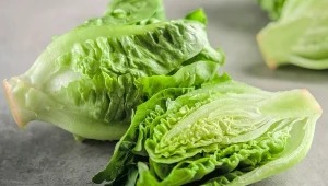 Sałata rzymska zawiera dużo witamin i cennych pierwiastków, dlatego warto włączyć ją do codziennej diety