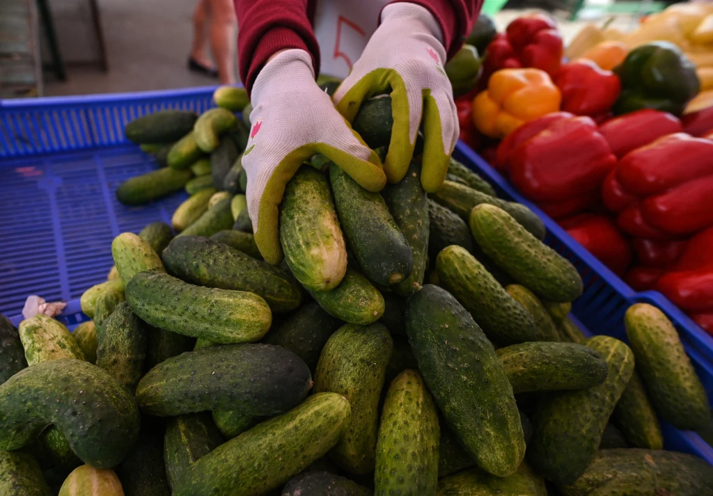 W 2024 roku z Rosji sprowadzono 11,3 tys. ton ogórków o łącznej wartości ponad 12 mln euro