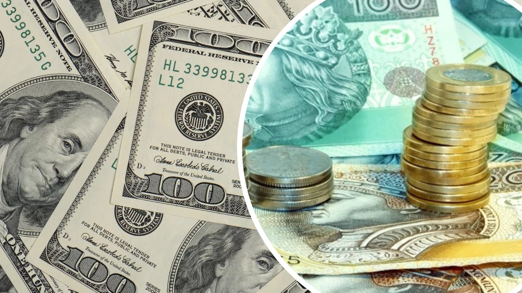 Kursy walut we wtorek 11 marca. Złoty coraz mocniejszy wobec dolara