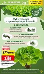 Słodkości w Lidlu 