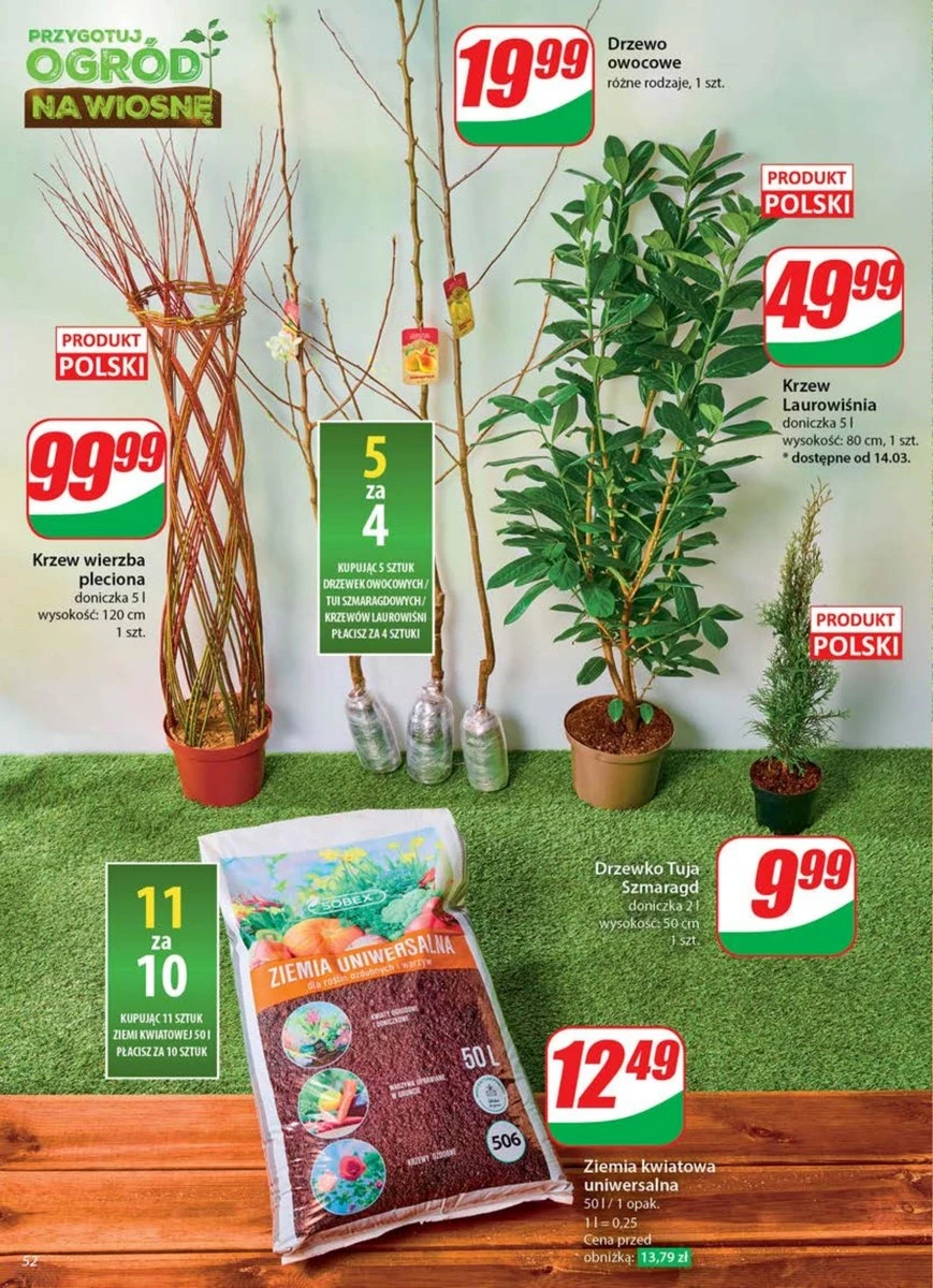 Sadzonki taniej w Dino! 