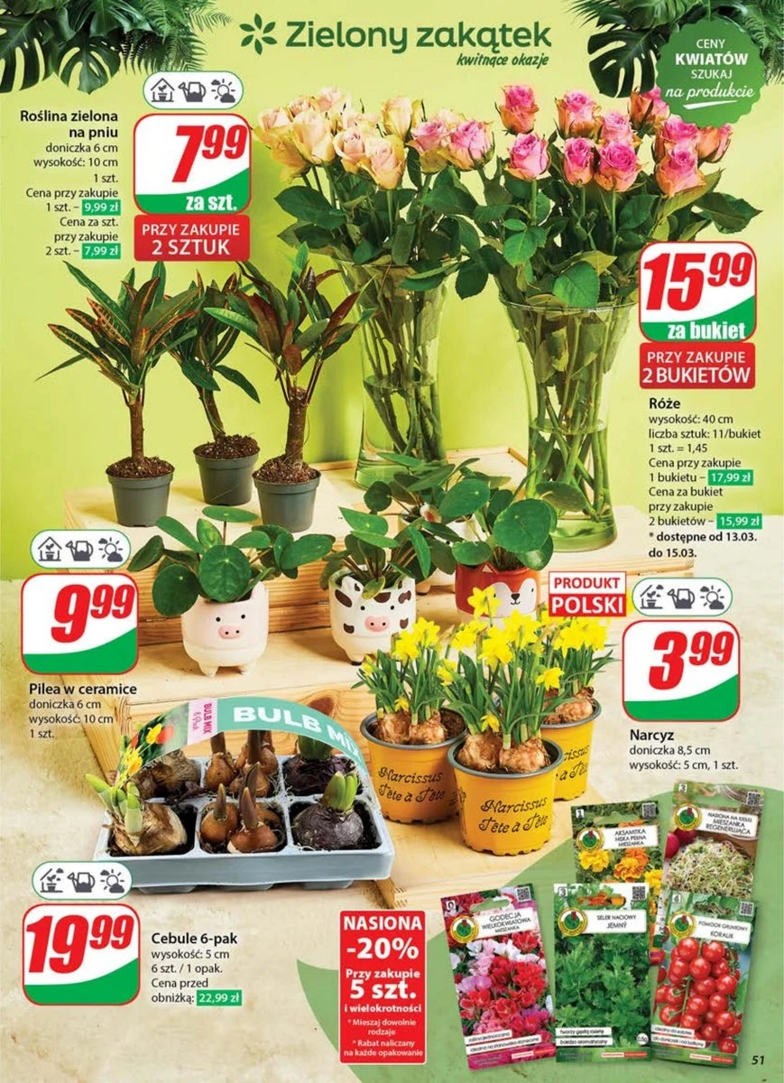 Cebulki kwiatowe w Dino 