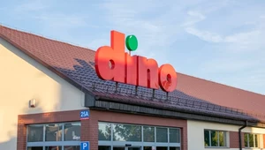 Dino poszukuje 1380 osób. Tyle im zapłaci.