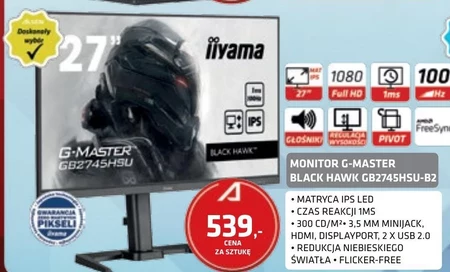 Monitor led Iiyama