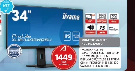 Monitor Iiyama