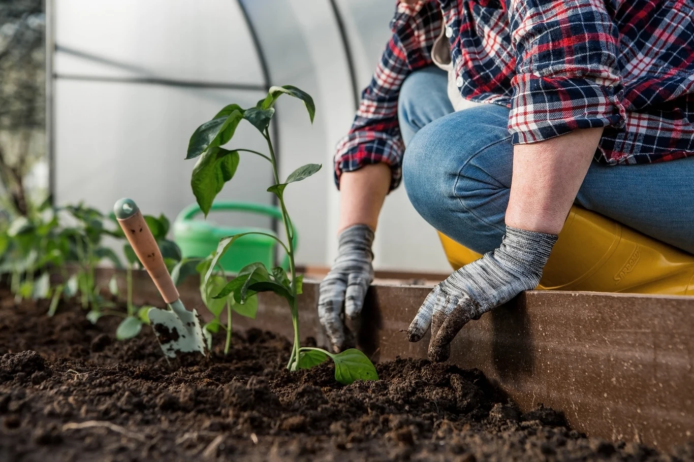 Praca za 670 zł dziennie. Szukają chętnych bez kwalifikacji Praca za 670 zł dziennie. Szukają chętnych bez kwalifikacji