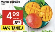 Манго Mango