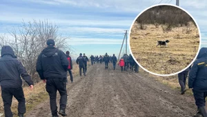 Kilkanaście godzin poszukiwań trzylatka. Nagle zauważyli jego psa