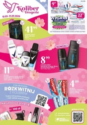 Drogerie Koliber - nowa oferta promocyjna