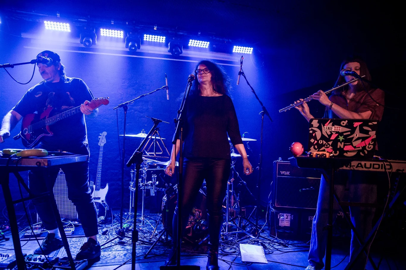 Niedźwiedź i Koty z Księżyca