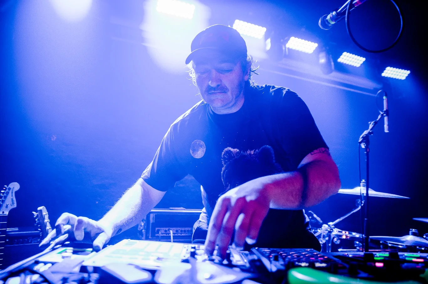 Niedźwiedź i Koty z Księżyca