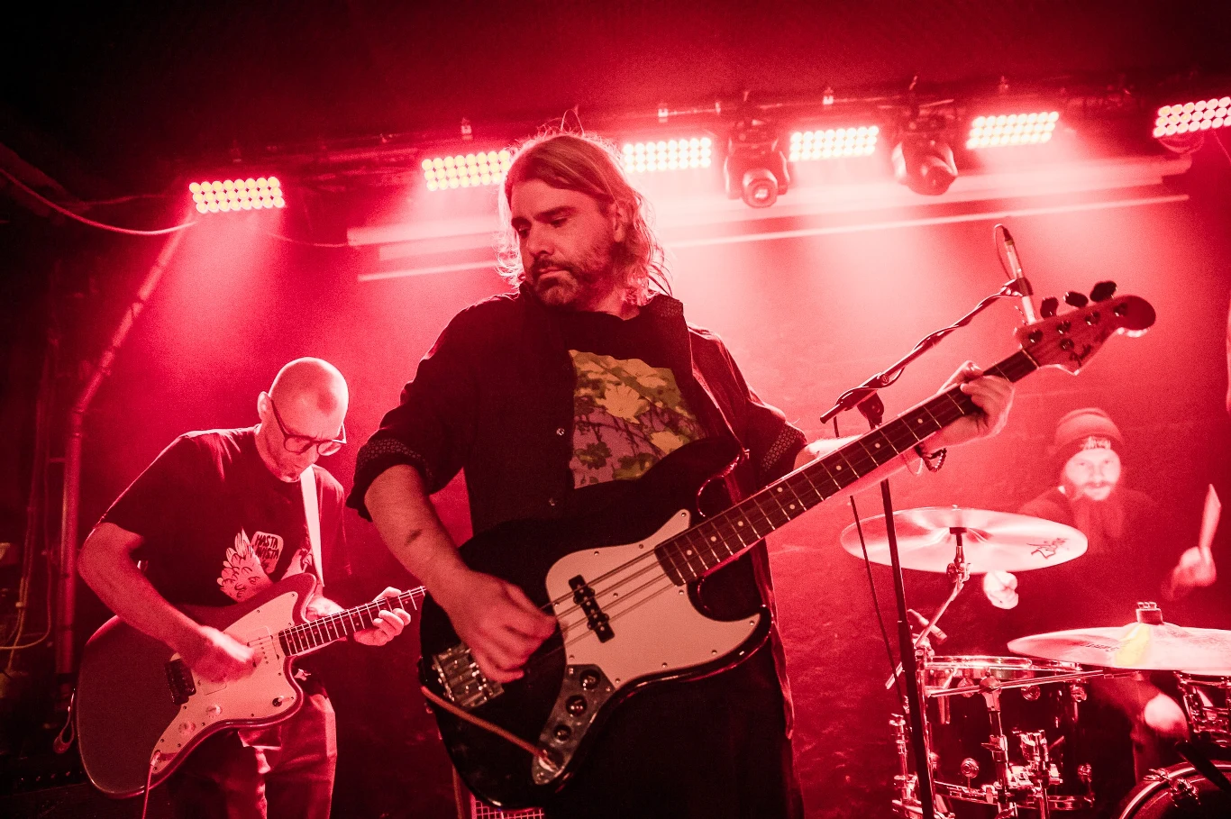 Kombajn do zbierania kur po wioskach