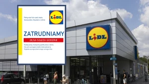 Praca zdalna w Lidlu brzmi niewiarygodnie. To fałszywa oferta