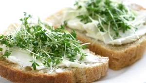 Wysiej w tym terminie. Niepozorne kiełki stworzą bujną łąkę