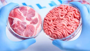 Mięso komórkowe może być przyszłością branży spożywczej