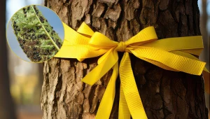 Rozwieś to w ogrodzie, a zapomnisz o mszycach. Za ten trik należy się złoty medal