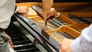 Tego zawodu uczy tylko jedna szkoła średnia w Polsce. Elitarny i dobrze płatny