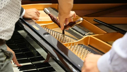 Tego zawodu uczy tylko jedna szkoła średnia w Polsce. Elitarny i dobrze płatny