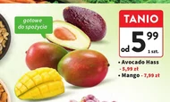 Awokado Mango