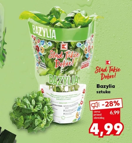 Bazylia K-Stąd Takie Dobre