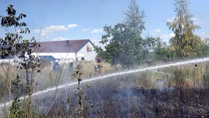 Polacy wiosną nagminnie łamią jeden przepis. Kara to 30 tys. grzywny i więzienie