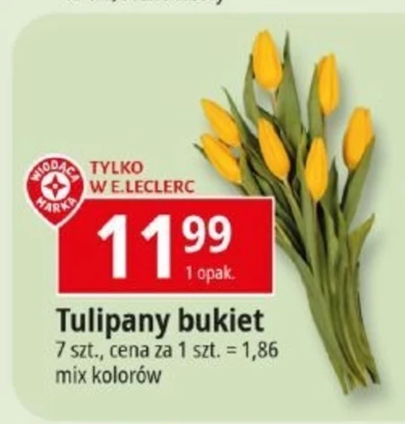 Bukiet tulipanów Tulipany