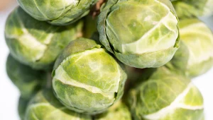 Niedoceniane i znienawidzone warzywo ma ogrom witamin i prozdrowotnych właściwości.