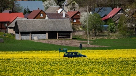 Wiosna w przysłowiach. Pamiętasz, jak mawiały nasze mamy i babcie?