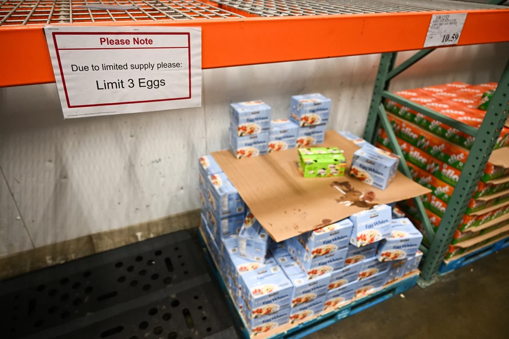 Władze USA proszą Duńczyków o sprzedaż jaj. W ten sposób chcą uzupełnić braki w sklepach. Na zdj. sieć sklepów Costco
