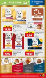 Sprawdź nowe promocje! - Lidl