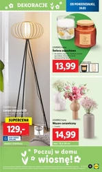 Domowe inspiracje – Lidl