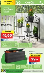 Domowe inspiracje – Lidl