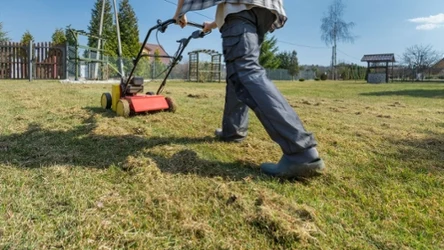 Jakie są najczęstsze błędy podczas wertykulacji trawnika?