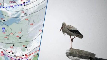 W poniedziałek musimy być gotowi na tak zimy. W całej Polsce obowiązują alerty związane z przymrozkami. Na południu spadnie sporo śniegu, a w wielu miejscach kraju popada on przelotnie