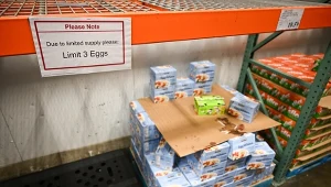 USA proszą o jajka. Finlandia nie chce pomóc
