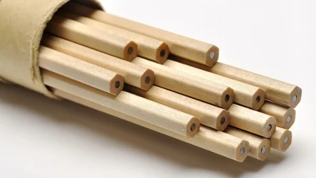 Badanie wykazało, że gryzienie drewna przyczynia się do podniesienia poziomu antyoksydantów w mózgu